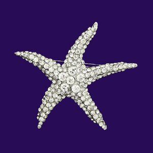 Starfish brooch, crystal pin, beach wedding, lapel pin